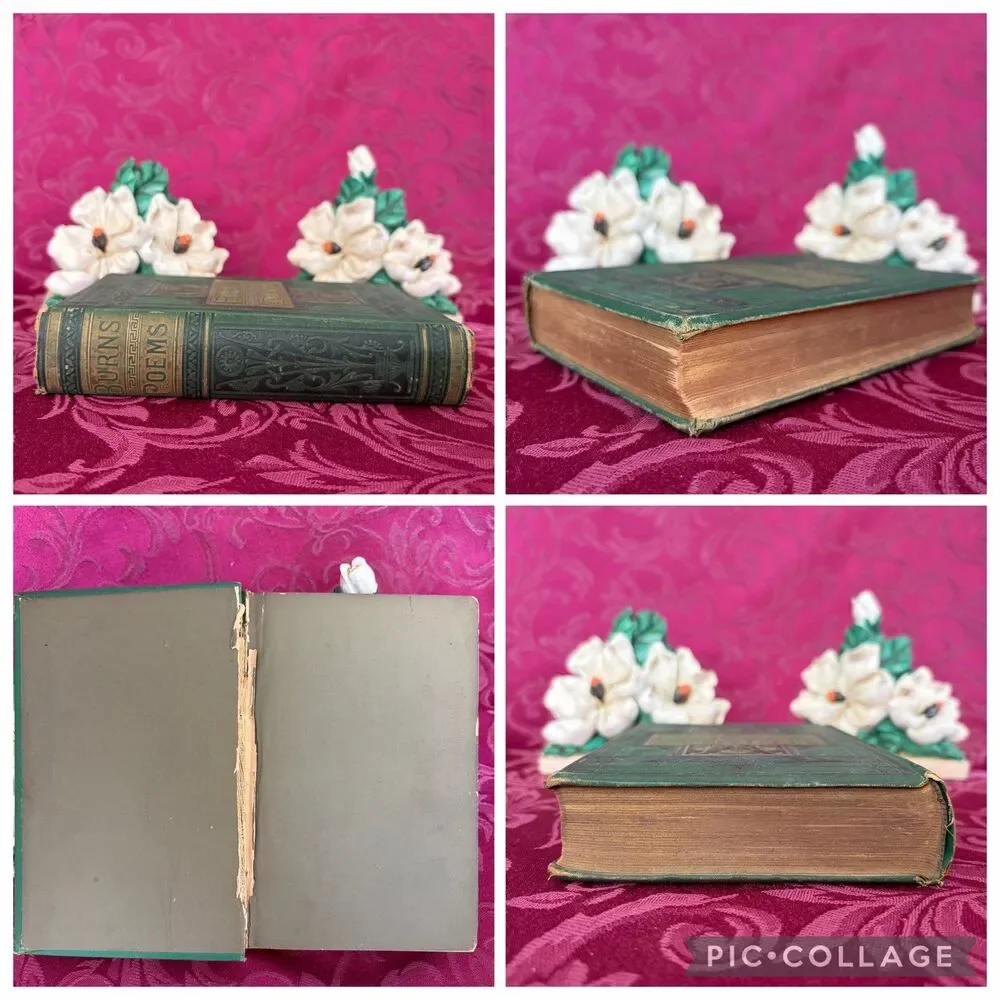 1881 The Poetical Works of Robert Burns, Antique Poetry Book, T. Y. Crowell